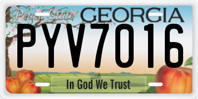 GA license plate PYV7016