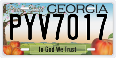 GA license plate PYV7017