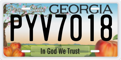 GA license plate PYV7018