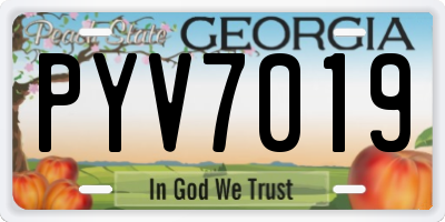 GA license plate PYV7019
