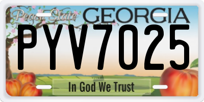 GA license plate PYV7025