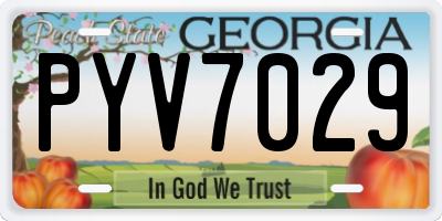 GA license plate PYV7029