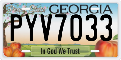 GA license plate PYV7033