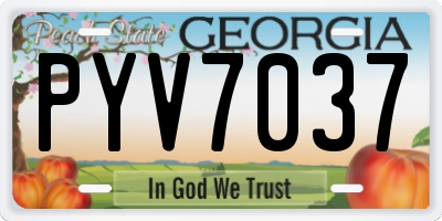 GA license plate PYV7037