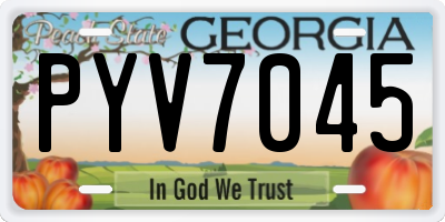GA license plate PYV7045