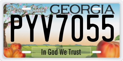 GA license plate PYV7055