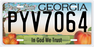 GA license plate PYV7064