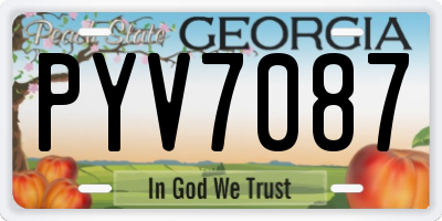 GA license plate PYV7087