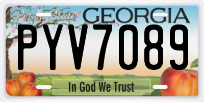 GA license plate PYV7089