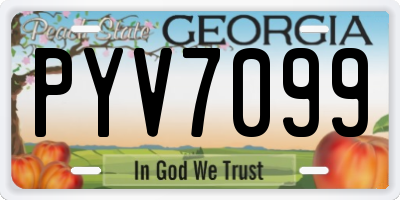 GA license plate PYV7099