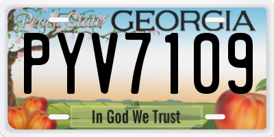 GA license plate PYV7109