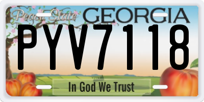 GA license plate PYV7118