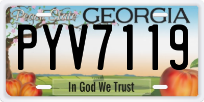 GA license plate PYV7119