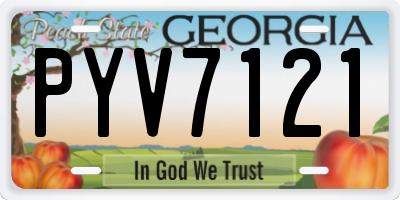 GA license plate PYV7121