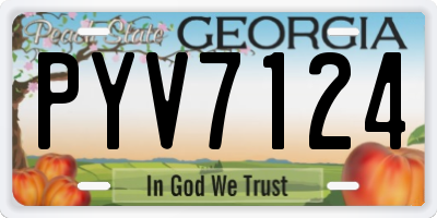 GA license plate PYV7124