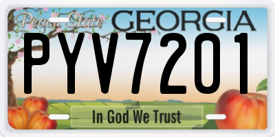 GA license plate PYV7201