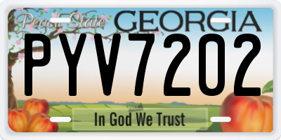 GA license plate PYV7202