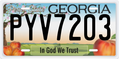 GA license plate PYV7203