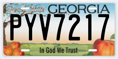 GA license plate PYV7217