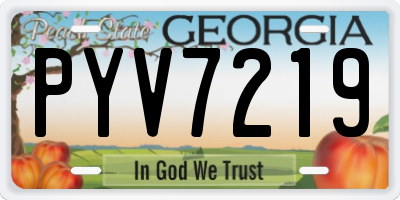 GA license plate PYV7219
