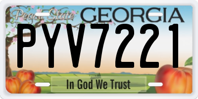 GA license plate PYV7221