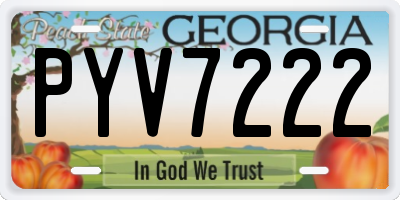 GA license plate PYV7222