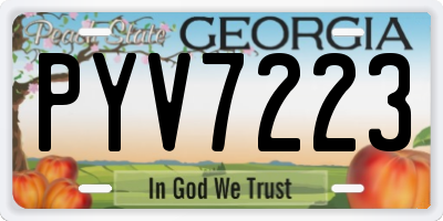 GA license plate PYV7223