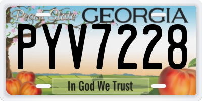 GA license plate PYV7228