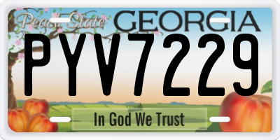 GA license plate PYV7229