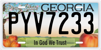 GA license plate PYV7233