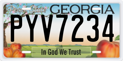 GA license plate PYV7234