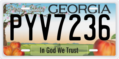 GA license plate PYV7236