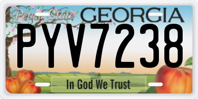 GA license plate PYV7238