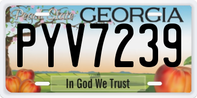 GA license plate PYV7239