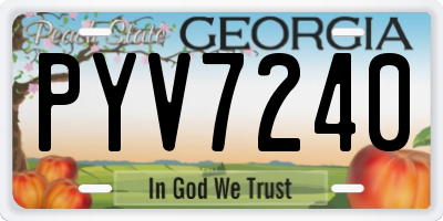 GA license plate PYV7240