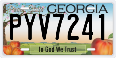 GA license plate PYV7241