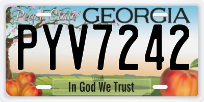 GA license plate PYV7242