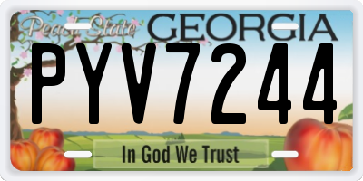 GA license plate PYV7244