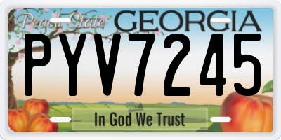 GA license plate PYV7245