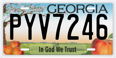 GA license plate PYV7246