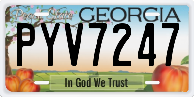 GA license plate PYV7247