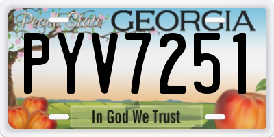 GA license plate PYV7251
