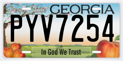 GA license plate PYV7254