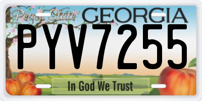 GA license plate PYV7255