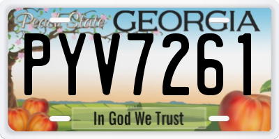 GA license plate PYV7261