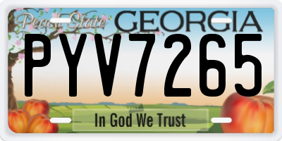 GA license plate PYV7265