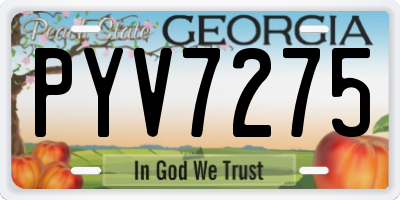 GA license plate PYV7275