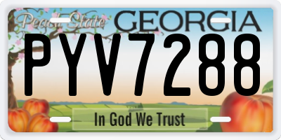 GA license plate PYV7288