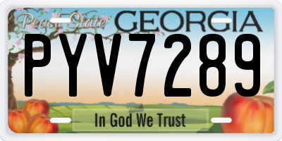 GA license plate PYV7289