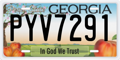 GA license plate PYV7291